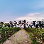 Morros Manzanillo 324